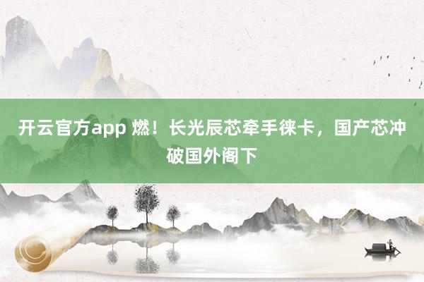 开云官方app 燃！长光辰芯牵手徕卡，国产芯冲破国外阁下