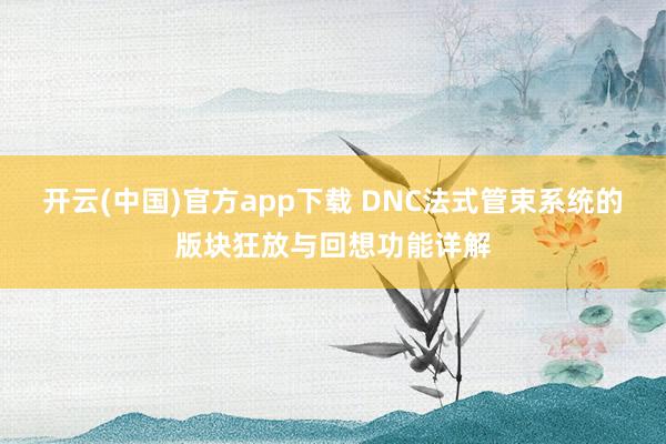 开云(中国)官方app下载 DNC法式管束系统的版块狂放与回想功能详解