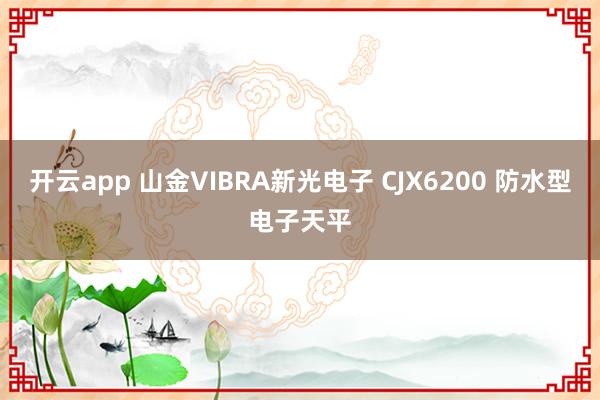 开云app 山金VIBRA新光电子 CJX6200 防水型电子天平